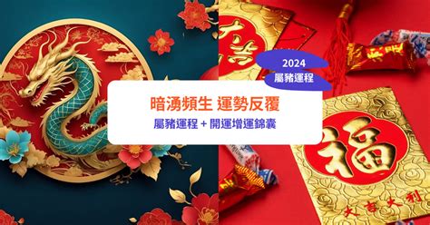 屬豬本月運勢|【屬豬2024生肖運勢】暗湧頻生，運勢反覆｜屬豬運 